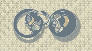 Abstract Feline Infinity