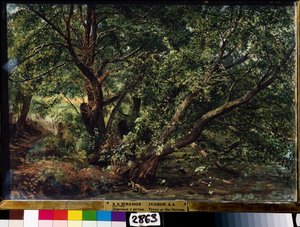 The Trees by the River
