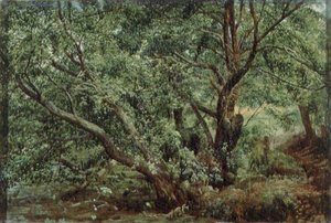 Trees by a Stream by Aleksandr Andreevich Ivanov