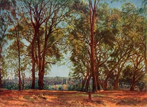 In the Aricci Park by Aleksandr Ivanov