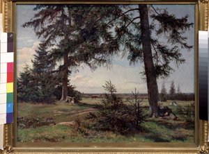 A Summer Day