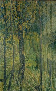 Swamp Forest