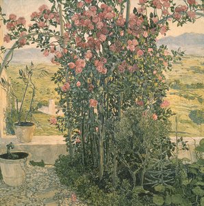 Valley in Umbria