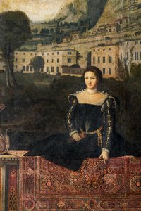 Portrait of a noblewoman (detail) by Alessandro Bonvicino Moretto
