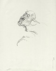 Chupacabra, South American Vampire