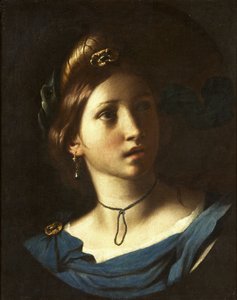 Portrait of a Young Woman