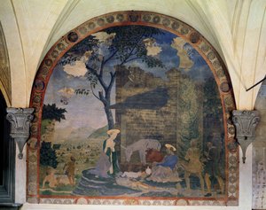 The Nativity