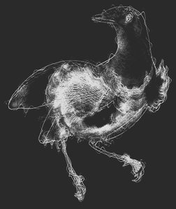Bird III
