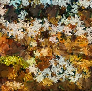 Camomile