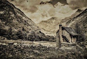 Untitled by Alex Caminker