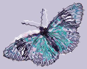Butterfly 7, 2020 by Alex Caminker