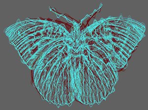 Butterfly 8 by Alex Caminker