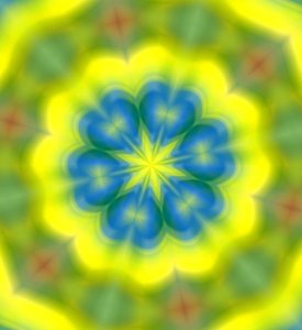 Flowers #62