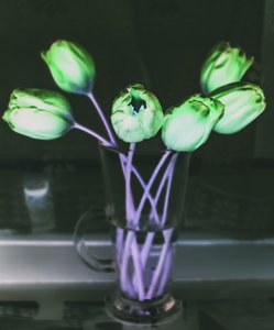 Light Refraction