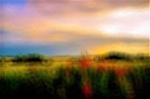Palette by Alex Caminker