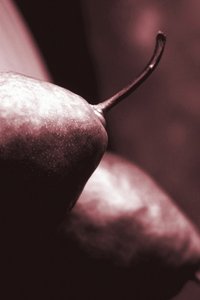 Pears by Alex Caminker
