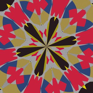 Symmetry #16 by Alex Caminker