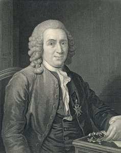 Portrait of Carolus Linnaeus by Alexander (after) Roslin