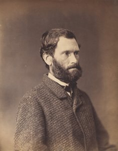 Bearded Man in Tweed Jacket