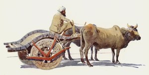 A Bullock Cart, Jodhpur
