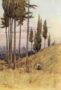 Florence from Poggio Gherardo by Alexander Henry Hallam Murray