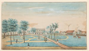 View of the Sugar Plantation Catharina Sophia by Alexander Ludwich Brockmann