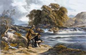 Salmon Fishing