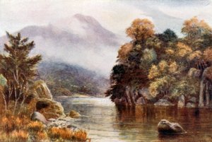 Muckross Lake, Killarney