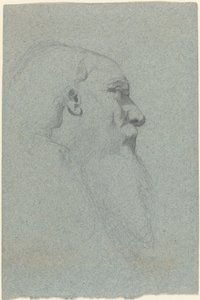 Head of a Bearded Man, Looking Right by Alexandre Bida