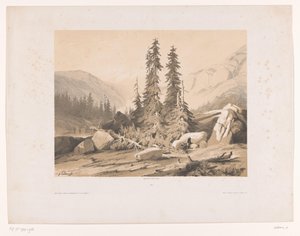 Mountain Landscape with Firs and Mountain Goats