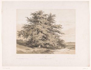 Landscape with Cedars by Alexandre Calame