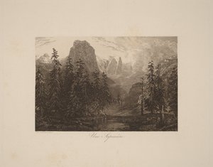 A Fir Plantation by Alexandre Calame