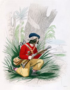 The Buccaneer, from 