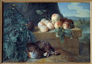Peaches and Partridges by Alexandre Francois Desportes