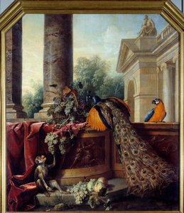 Still Life with Peacock, a Parrot, a Monkey and Bunches of Grapes by Alexandre Francois Desportes