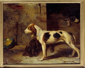 Dogs Brifauts