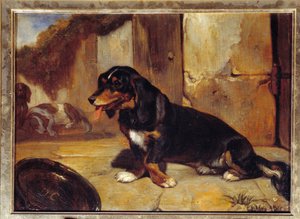 Un chien basset Dogs de chasse au repos