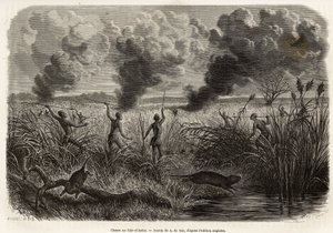 The bongo tribe hunt the rat from the reeds (for naturalists: aulacode), sitot spot the place where the rodents live, fire is set to dry grass around their cottage, until the beets, forced to flee, come to present themselves to the hunters, engraving after