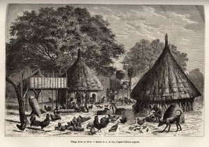Village Diour in winter (Sudan) and daily activities of the inhabitants in the middle of animals brought up by the community, engraving after the drawing of A. de Bar, illustrating the journey to the heart of Africa in 1868-1871, by Dr. Georges Schweinfurt by Alexandre de (after) Bar