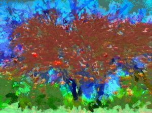 Fruit Tree