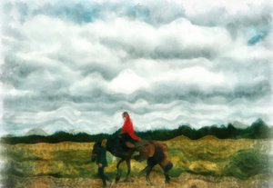 Horse Riding