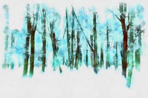 Winter in the Forest