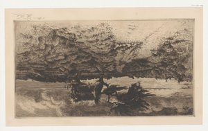 Heath Landscape