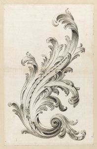 Acanthus Leaf Design by Alexis Peyrotte