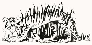 Fact-Finder: Why Are Tigers Striped?