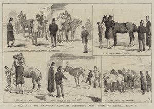 A Day with the Remount Committee, purchasing Army Horses at Redhill, Edgware by Alfred Chantrey Corbould