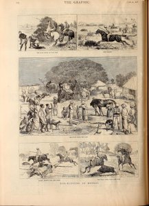 Hog-Hunting in Bengal by Alfred Chantrey Corbould
