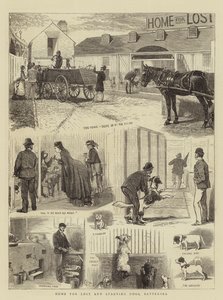 Home for Lost and Starving Dogs, Battersea by Alfred Chantrey Corbould