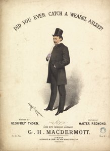Did you ever catch a weasel asleep by Alfred Concanen