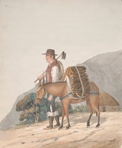 Firewood Seller, Tenerife